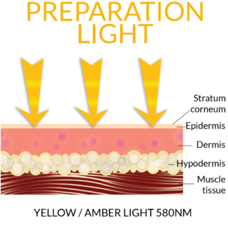 Light Therapy - Shop TrueLight®