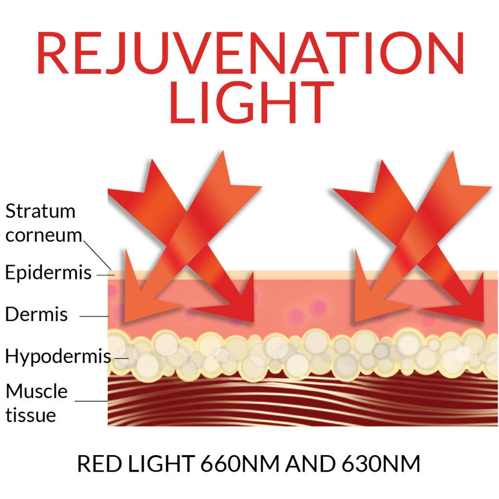 Diagram of skin cell layers in response to Rejuvenation light