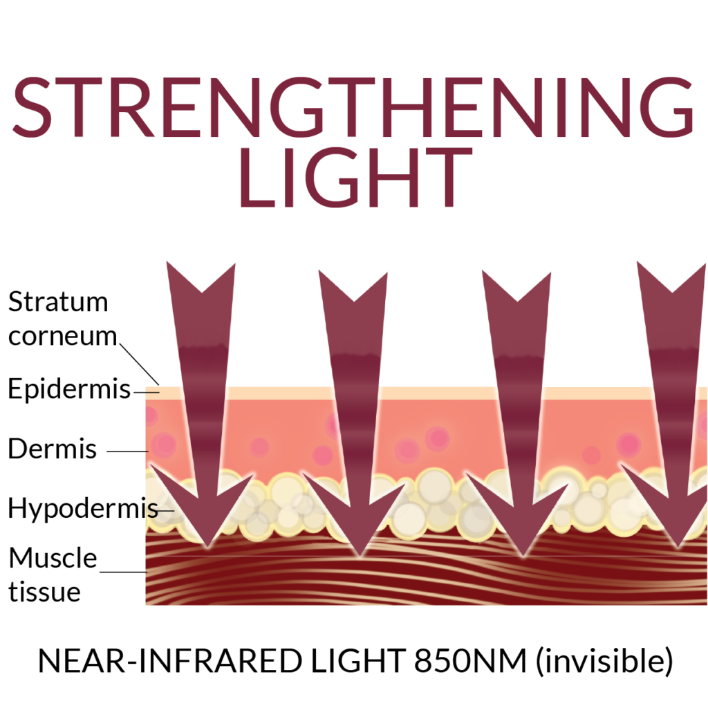 Diagram of skin cell layers in response to Strengthening light