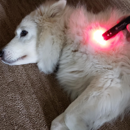 TrueLight Baton Rouge Red Light Therapy for Pet Care
