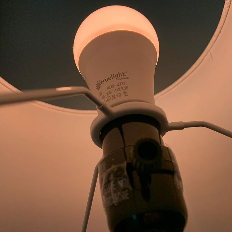 Luna Red™ Bulb in Lamp